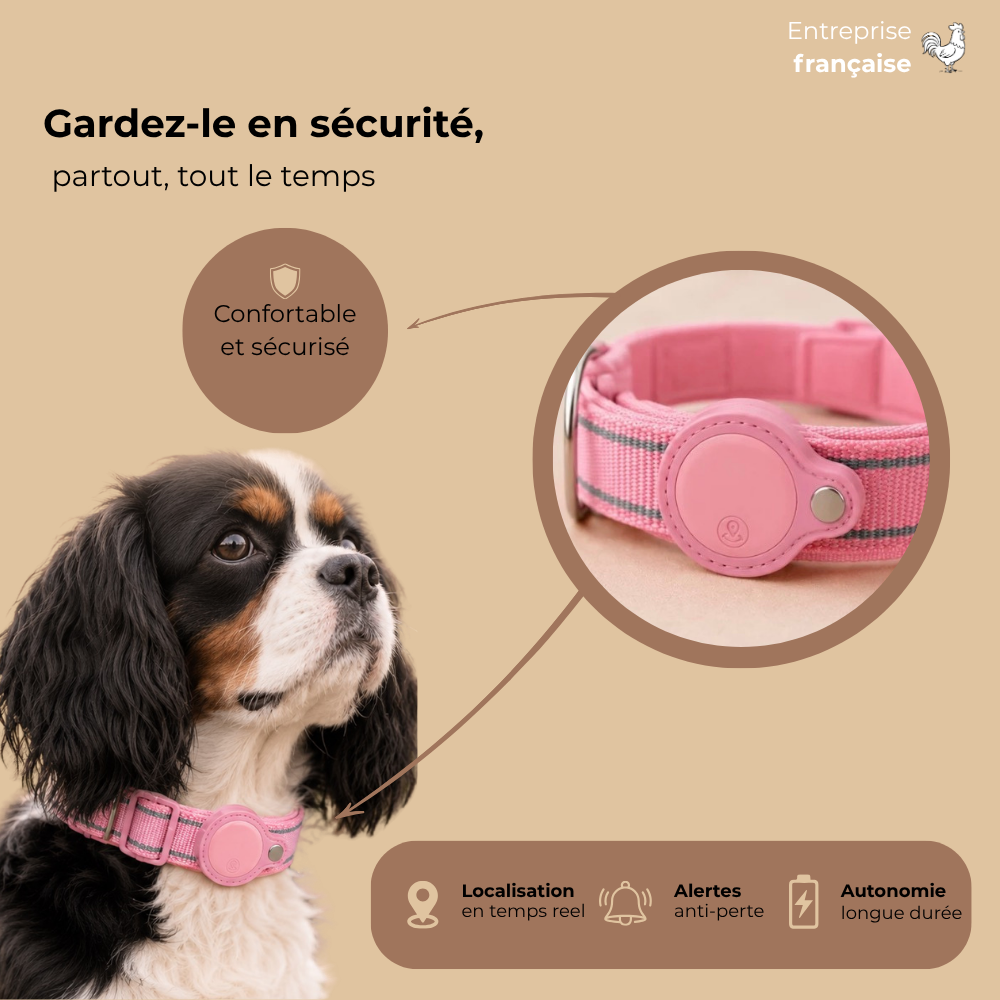 Collier Airtag sécurisé