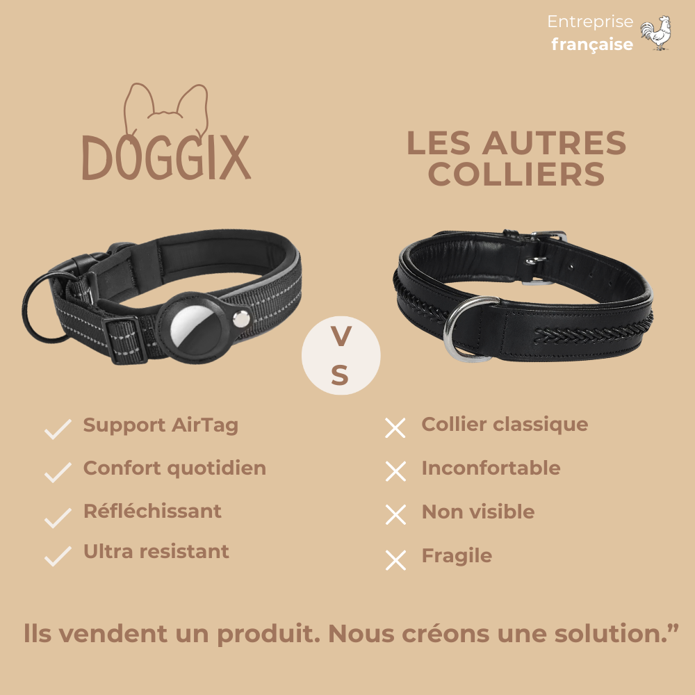 Collier Airtag sécurisé