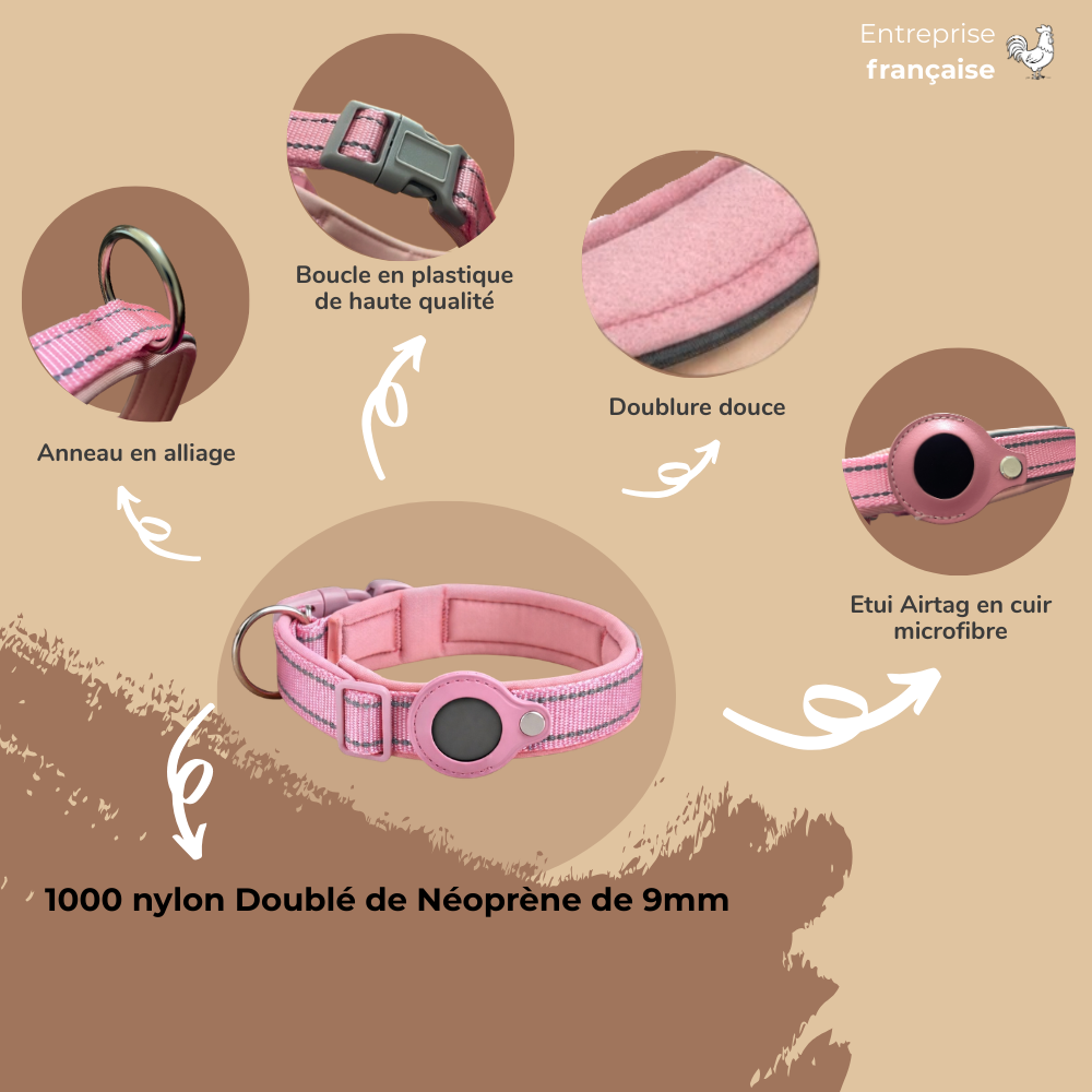 Collier Airtag sécurisé