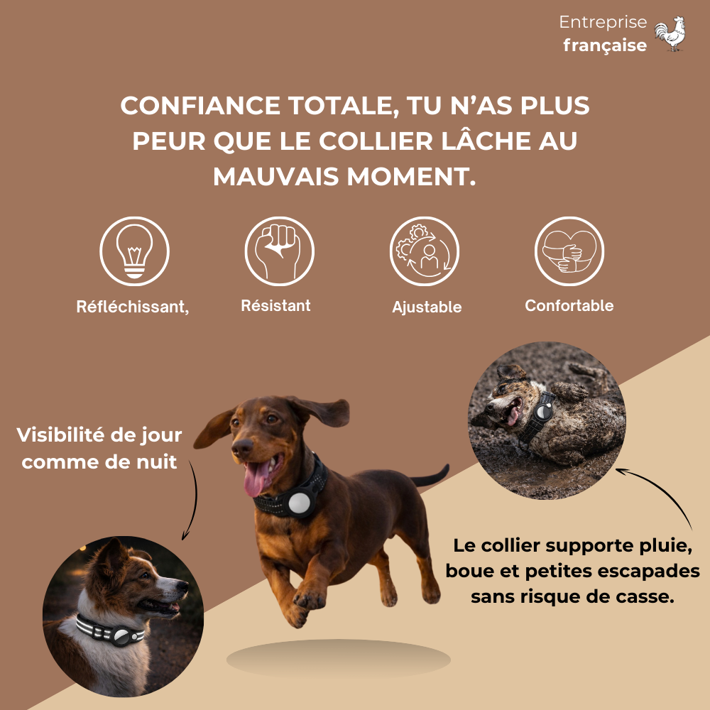 Collier Airtag sécurisé